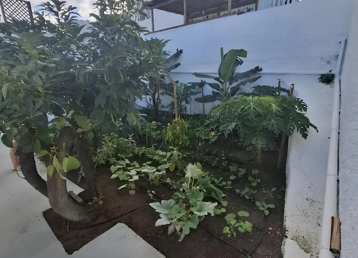 Holiday home Chousa Puntillo Del Sol